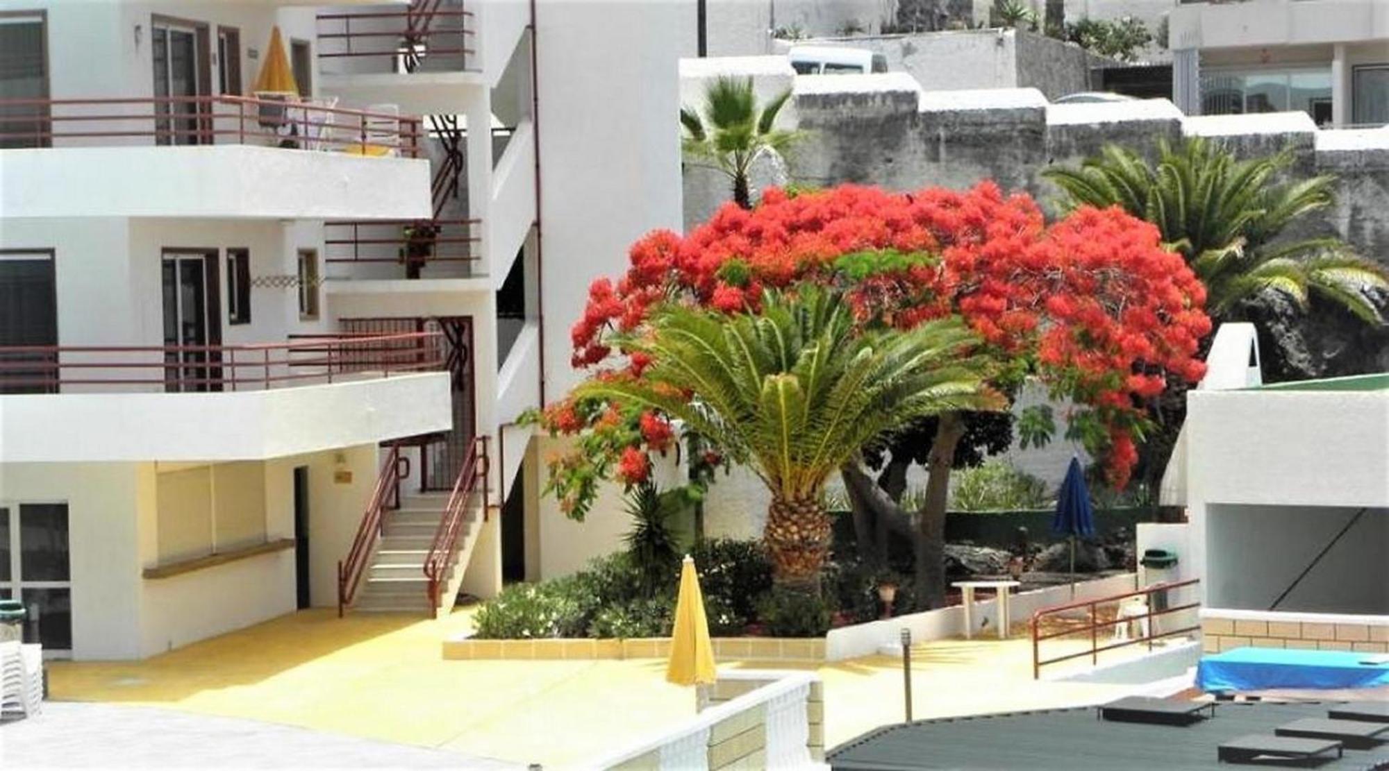 Apartamento Sol&Arena Puerto de Santiago  Exterior foto